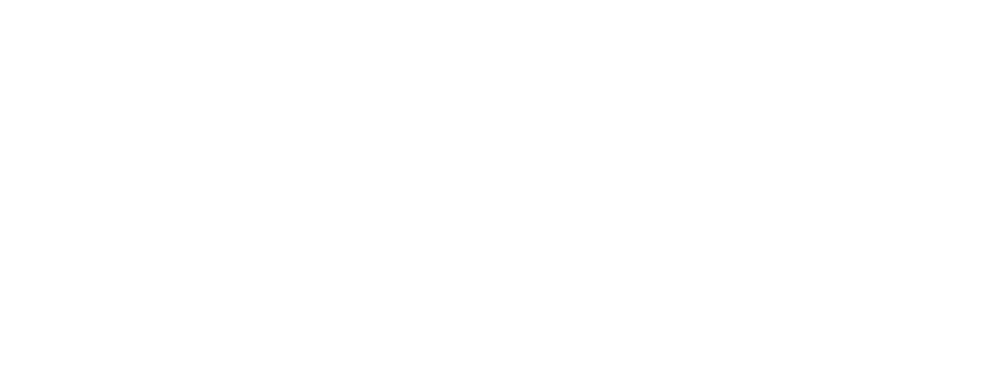 Vicon Group